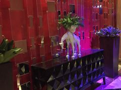 -纯K(打浦桥店)