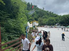 -西双版纳原始森林公园