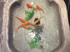 -106餐厅(山水文园店)
