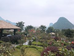 -英德宝晶宫天鹅湖茶语温泉