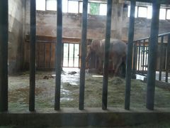 -石家庄市动物园