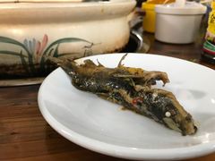 -金海椒罐罐鲢鱼(东方桂苑店)