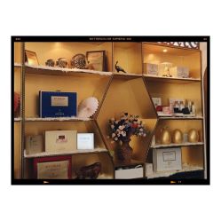 -归真美学颜究中心