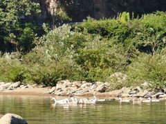 -千岛湖白云溪漂流