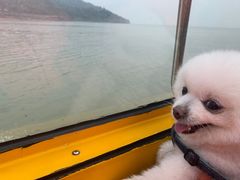 -巢湖姥山岛