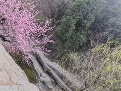 -狼牙山风景区