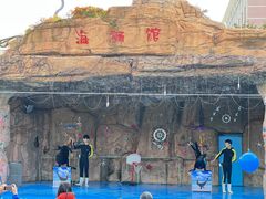 -灵玲国际马戏城
