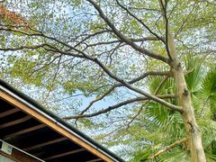 -厦门途易蓝罗约海景温泉酒店(园博苑地铁站店)