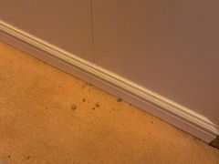 -金茂园大酒店