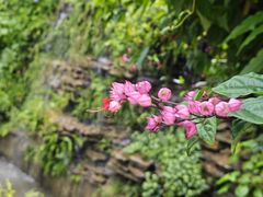 -广州神农草堂中医药博物馆
