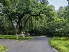-莲花池公园