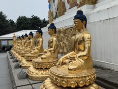 -护国法轮寺