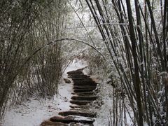 -卡定沟景区