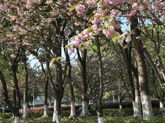 -南京奥林匹克体育中心