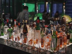 -四季酒店·空中花园 Aria on 9