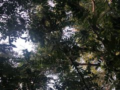 -长白岛森林公园