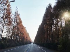 -盐城丹顶鹤湿地生态旅游区