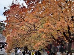 -香山公园