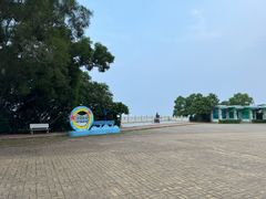 -广东惠东海龟国家级自然保护区