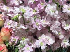 -何兮花店·气球派对鲜花店(马桥银春路万科城店)