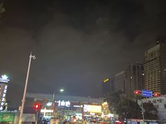 -野萃山·潮汕厚果汁(十亩地店)