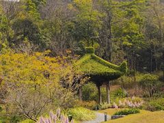 -云溪植物园