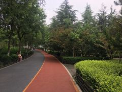 -大兴滨河森林公园