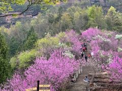 -天台山赤城山景区