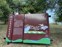 -百里山水画廊乌龙峡谷