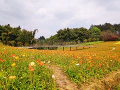 -保利石象湖景区