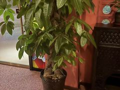-泰融玺·泰式按摩SPA(包河万达店)
