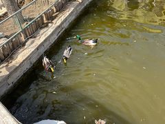 -南宫五洲植物乐园