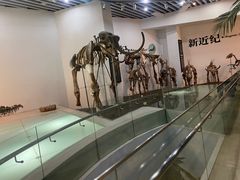 -烟台自然博物馆