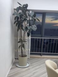 -HEYAN荷妍专业脱毛连锁机构