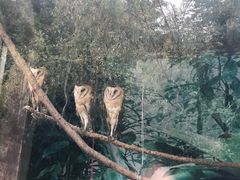 -贵州森林野生动物园