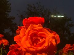 -睦南公园