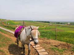 -扁都口生态休闲旅游区