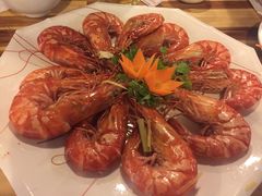 -Draft Beer Restaurant & Bar