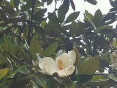 景点-南岳衡山风景名胜区-南岳大庙