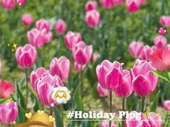 -北京国际鲜花港