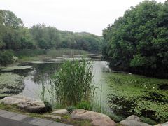 -蠡湖大桥公园