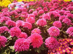 -咸阳湖景区-统一广场