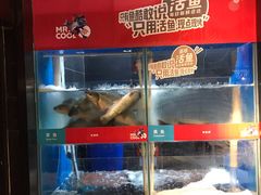 水产区-鱼酷活鱼烤鱼(人信汇商场店)