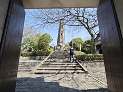 -上海佘山国家森林公园天马山园