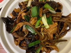 茶树菇木耳-老板恋上鱼(荣盛广场店)