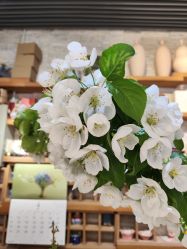 -今日陶艺(富力广场店)