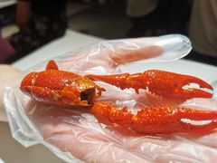 -老长沙龙虾馆·聚会餐厅(白石洲店)