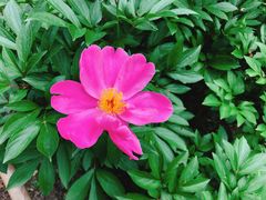 -白塘生态植物园