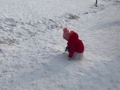 -绿野森林乐园冰雪季
