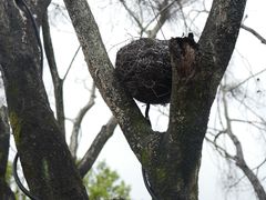 -福建鲤鱼洲酒店